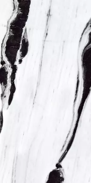 Black Panda